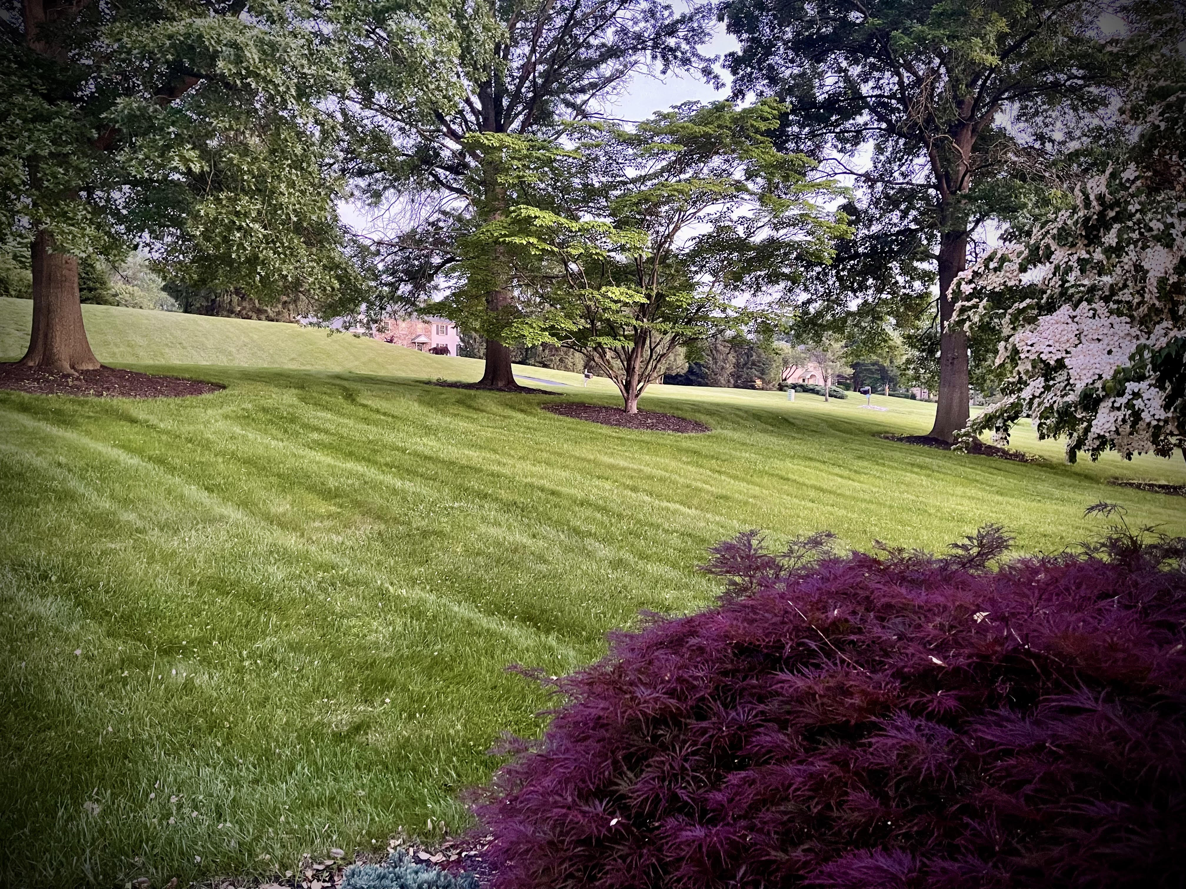 After transformation